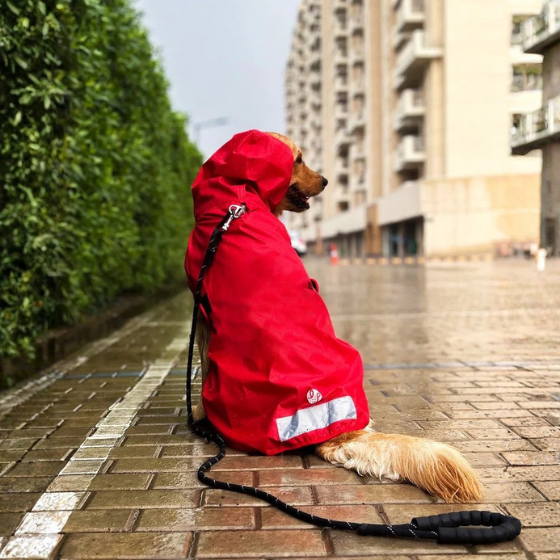 Dog Raincoat - Solid Red
