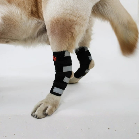 Dog Rear Leg Hock Brace, Dog Leg Brace for Rear Leg, Hock & Ankle Support for Hind Legs