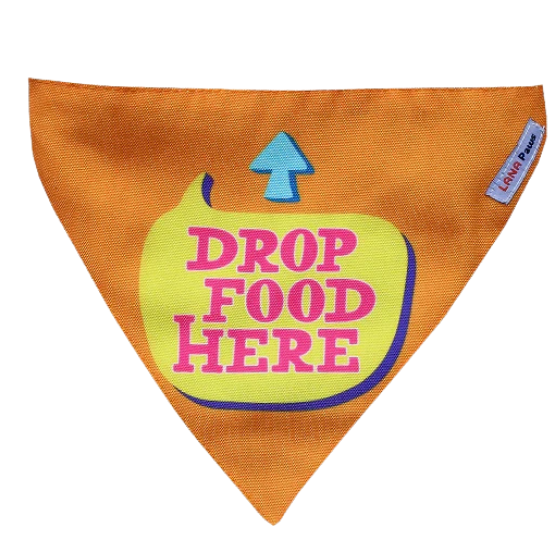 Adjustable Dog Bandana/ Dog Scarf (orange) - Drop Food Here