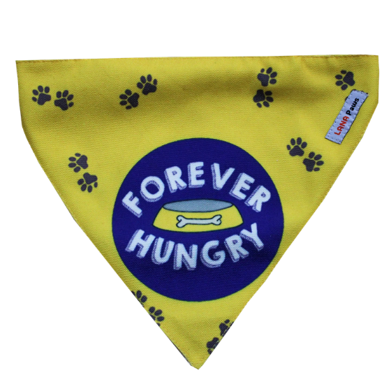 Adjustable Dog Bandana/ Dog Scarf - Forever Hungry