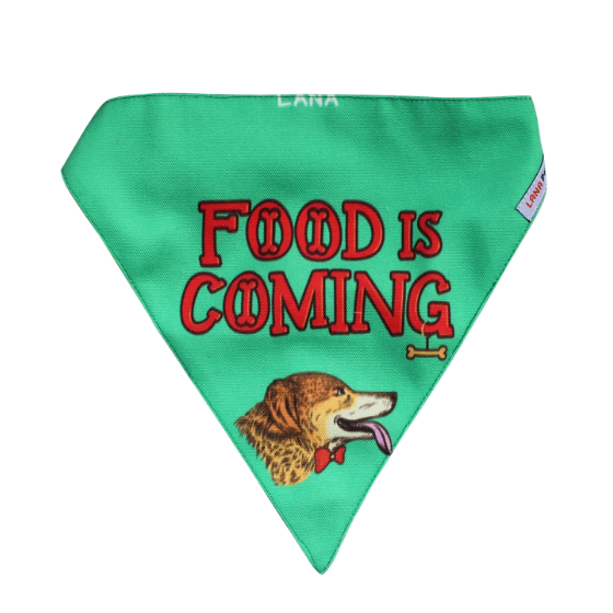 Adjustable Dog Bandana/ Dog Scarf (green) - Game of Bones (Food is Coming!)