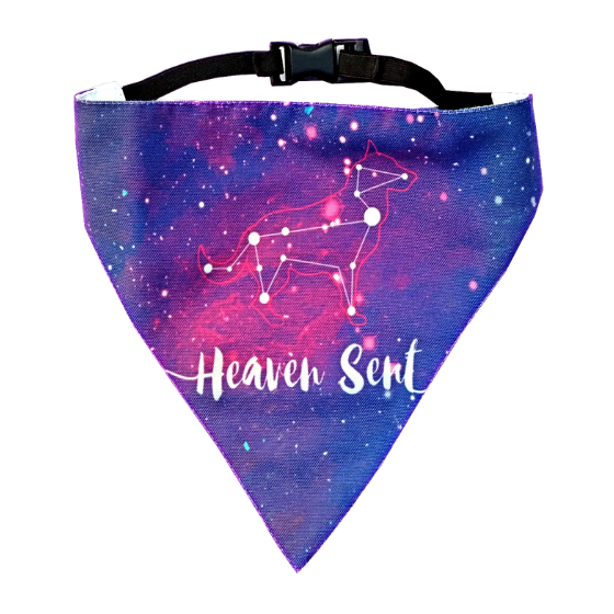 Adjustable Dog Bandana/ Dog Scarf - Heaven Sent