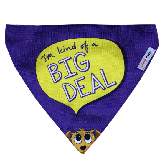 Adjustable Dog Bandana/ Dog Scarf - I am Kind of a Big Deal
