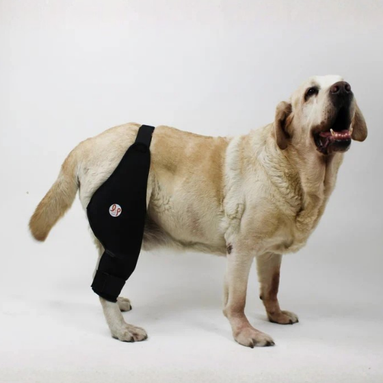 Knee Brace For Dogs - Soft Compression Brace for knee injuries, pain relief and joint conditions in dogs