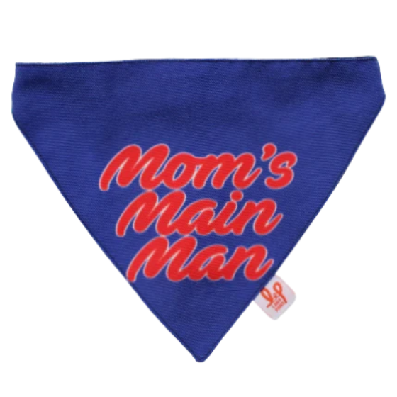 Adjustable Dog Bandana/ Dog Scarf - Mom's Main Man