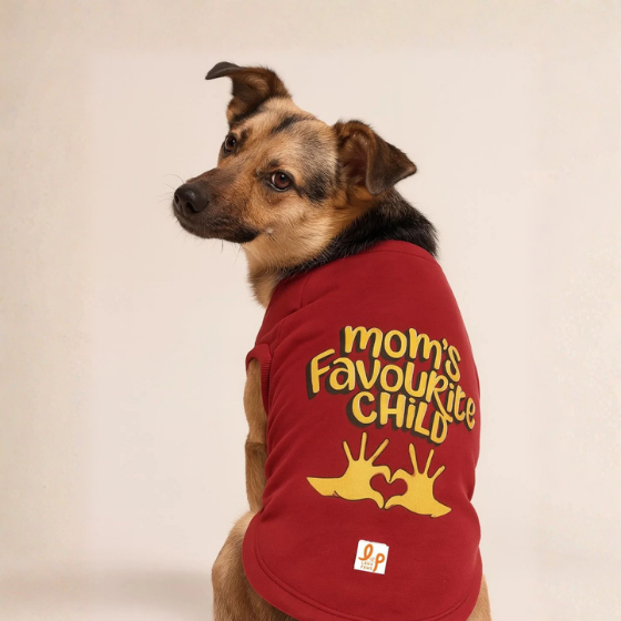 Winter Dog Sweatshirt - Mom's Favourite Child