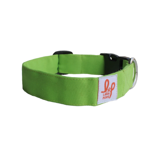 Dog Collar Neck Belt - Pastel Green