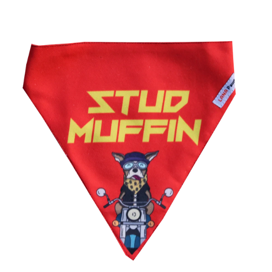 Adjustable Dog Bandana/ Dog Scarf (red) - Stud Muffin