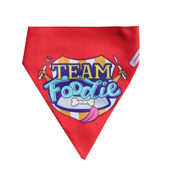 Adjustable Dog Bandana/ Dog Scarf (red) - Team Foodie