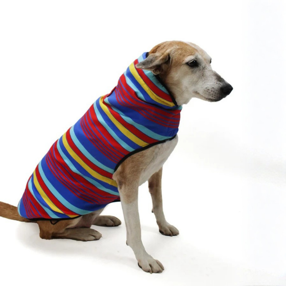 Winter Dog Coat/ Jacket - Blue & Red Stripes