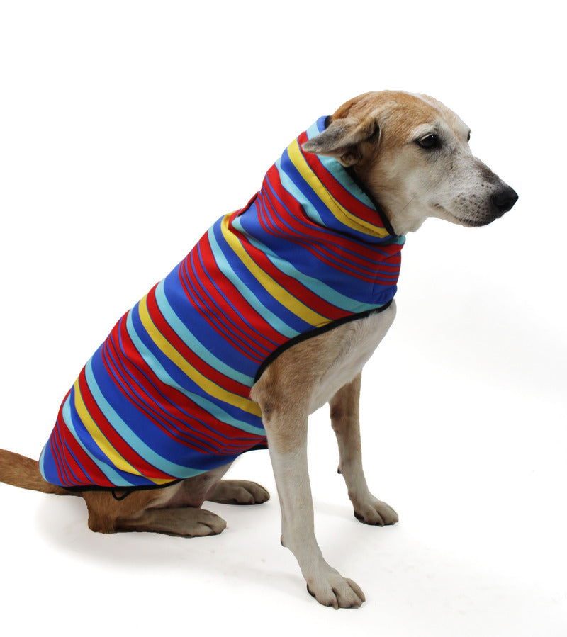 Buy Dog Winter Jackets Online l Lana Paws - Main Image