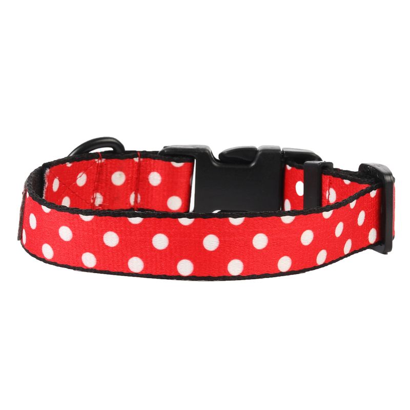 Lana Paws red dog collar belt