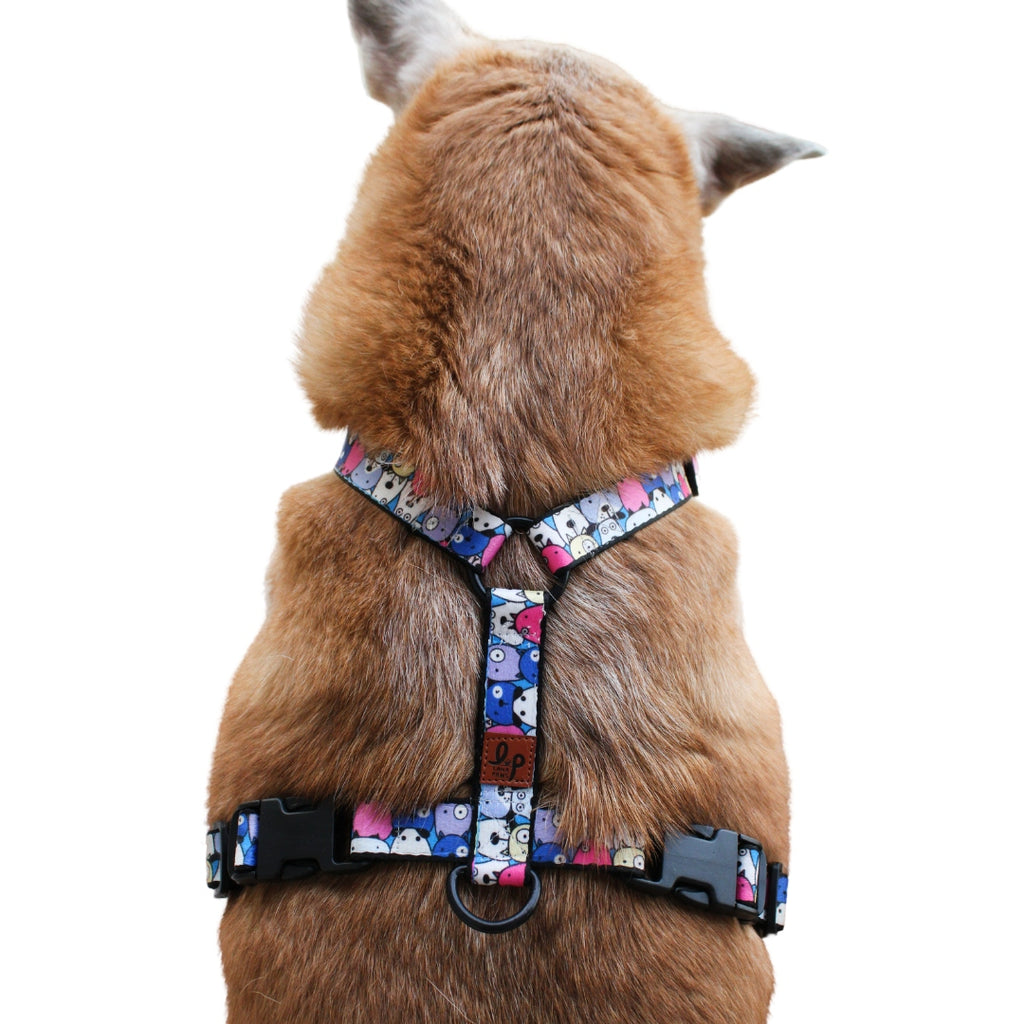 Dog H Harness/ Halter Dog Harness Googly Eyes Blue