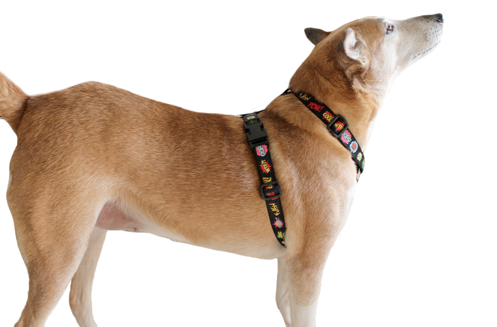 Paw five dog harness hot sale