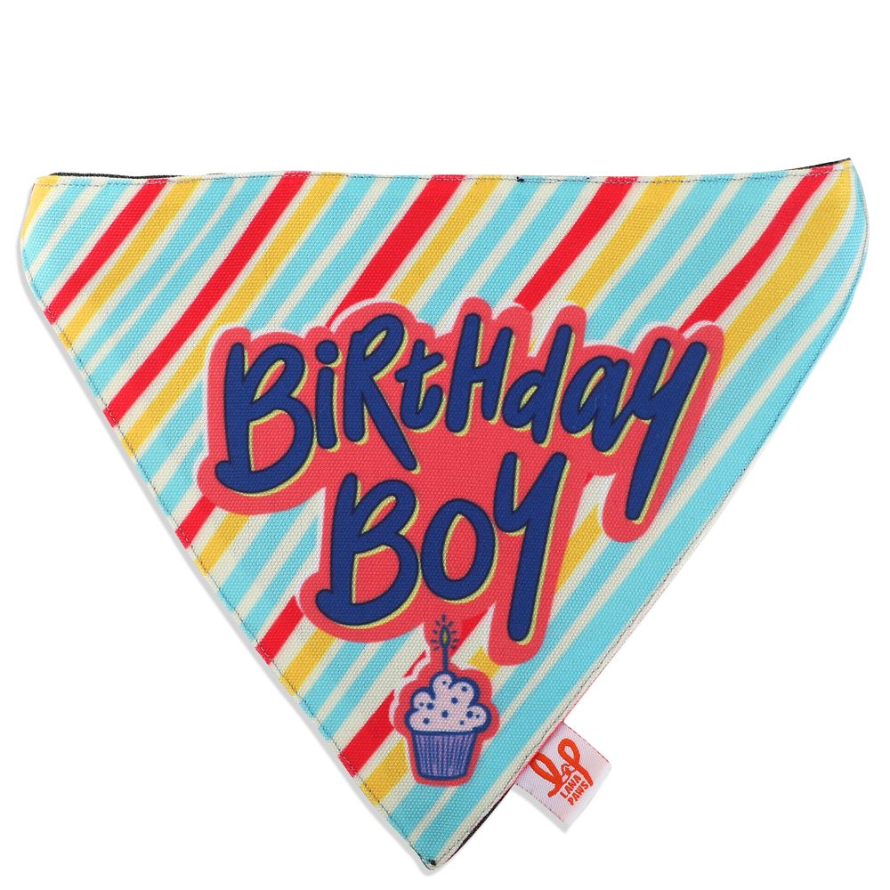 Lana Paws Birthday Boy Dog bandana