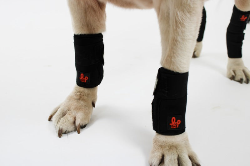 Dog leg braces for knee injuries, arthrithis, walking support for dogs