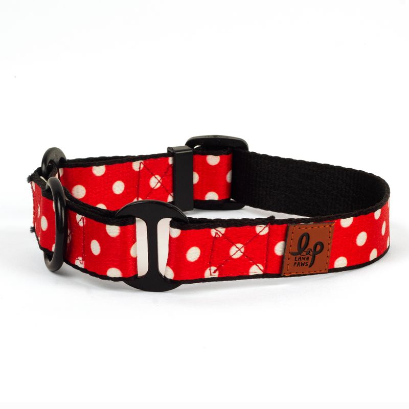 Lana Paws martingale training collars for dogs