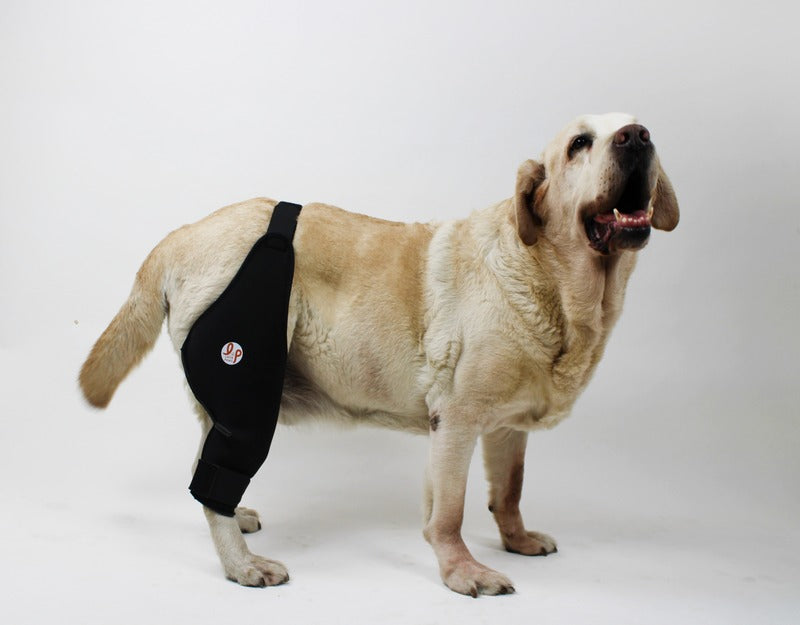 Knee Brace For Dogs - Soft Compression Brace for knee injuries, pain relief and joint conditions in dogs