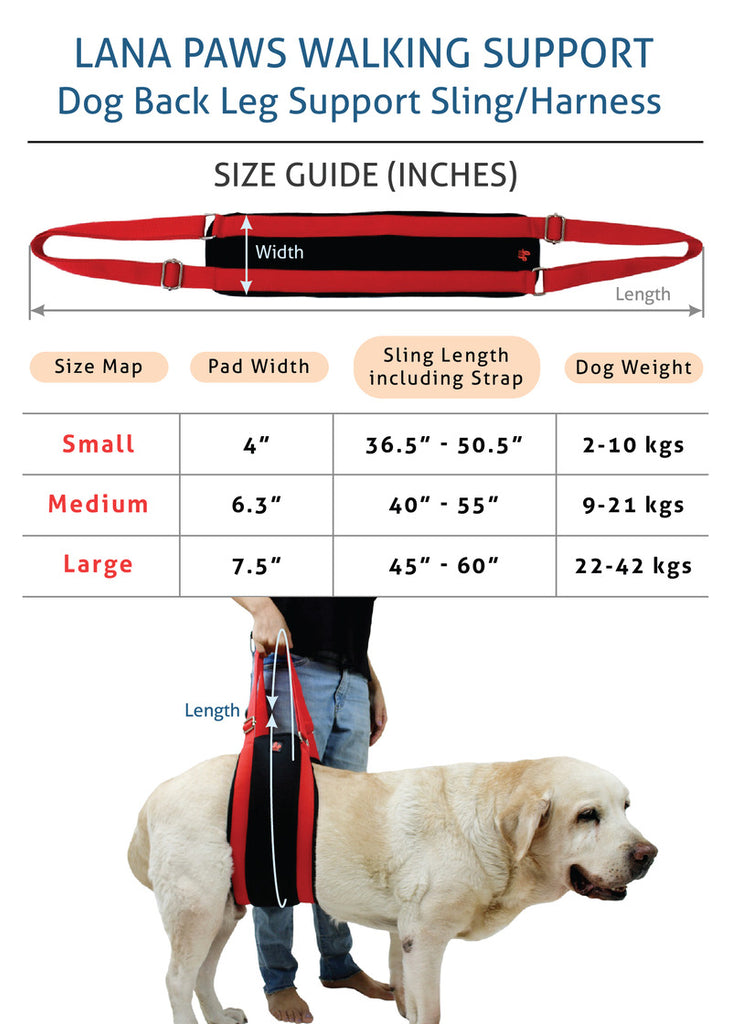 Dog Sling For Back or Hind Leg Lifting Support, Hip Support For