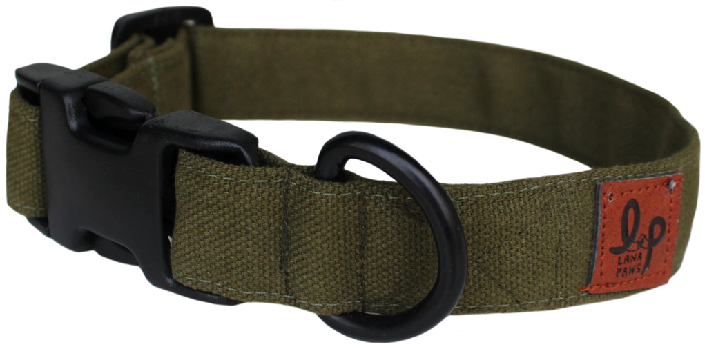 Fab best sale dog collars