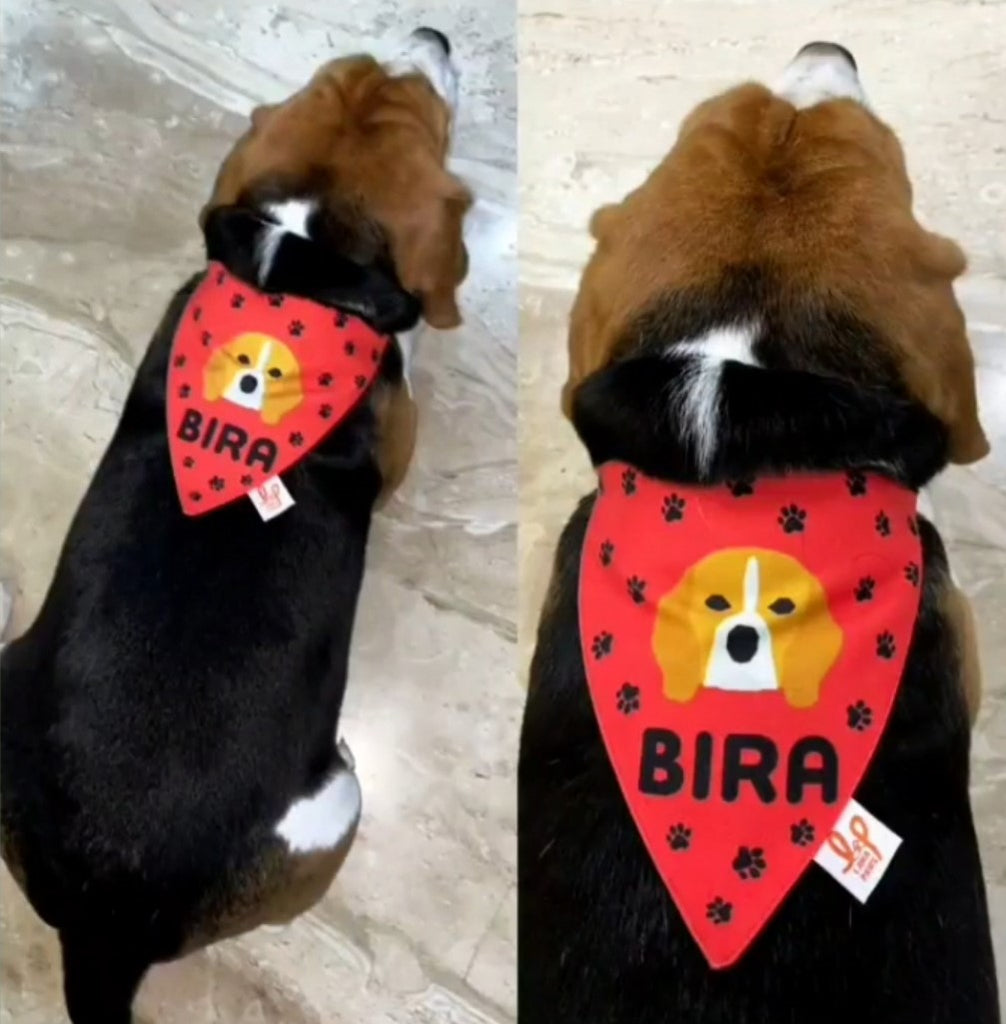 Amazon Rescue Dog Bandana Custom Personalised Printed Dog Bandana