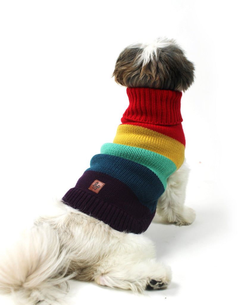 Dog sweater hotsell from beanie