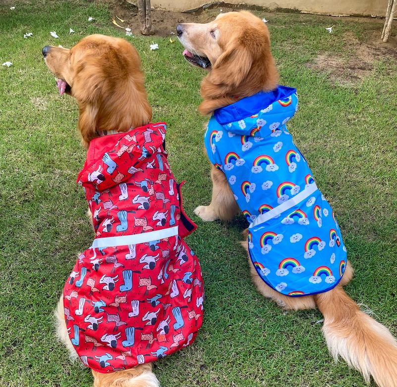 Dog shop raincoat online