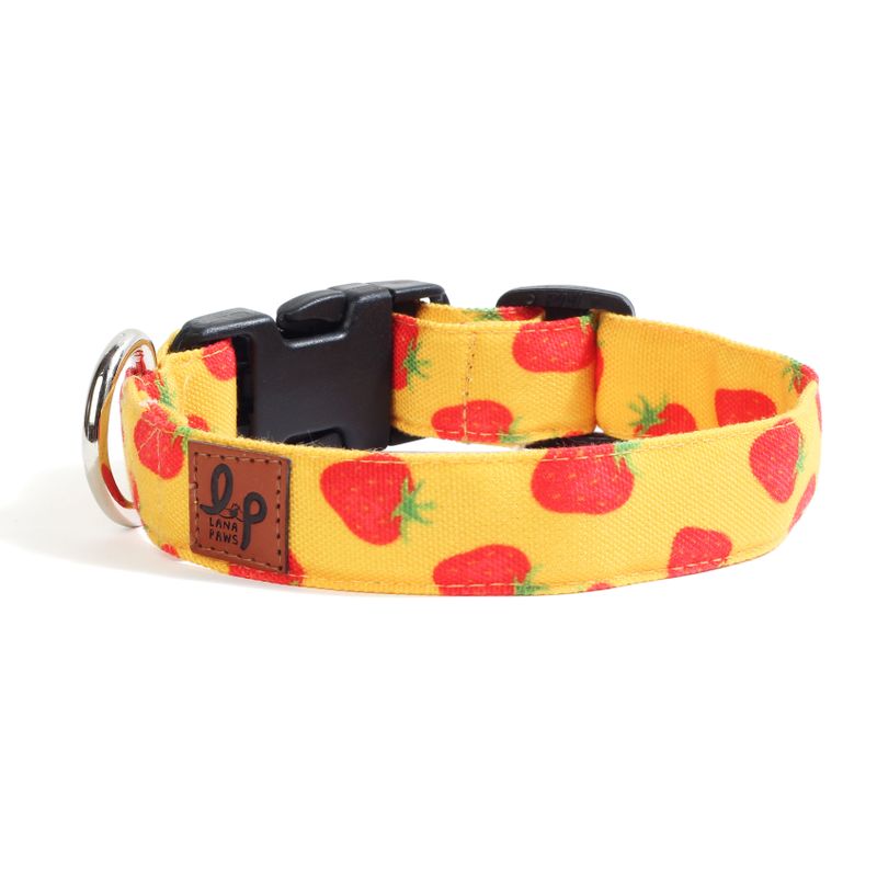 Lana Paws Strawberry Dog Collar Belt 2022