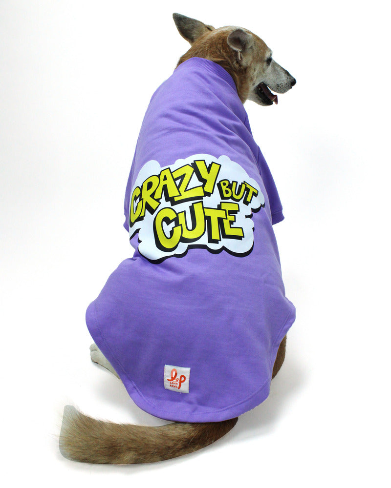 cute dog clothes for winter Shih Tzu, Beagle