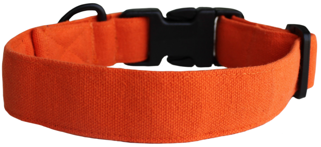Dog collars online deals