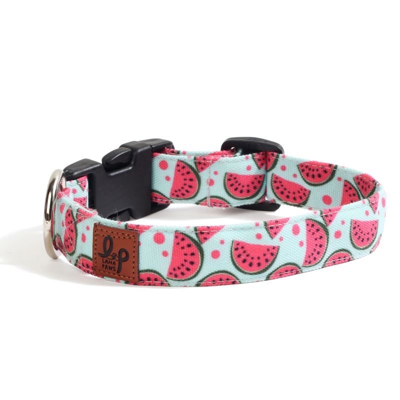 Lana Paws watermelon dog collar belt