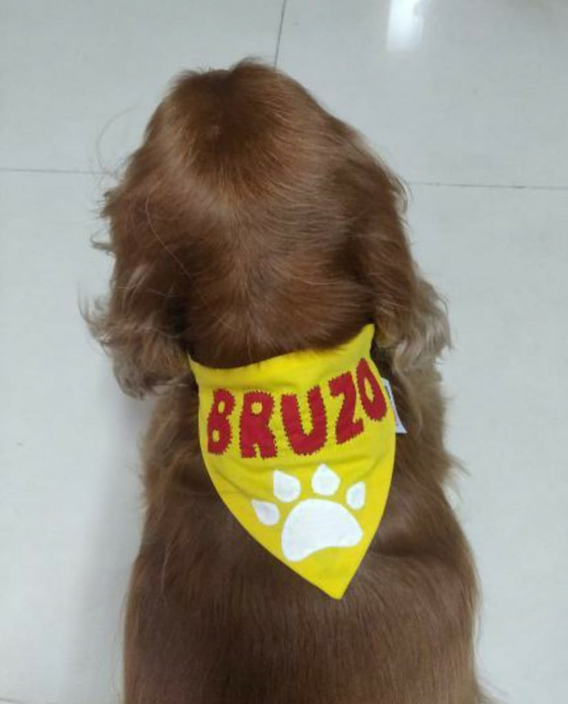 Buy customised dog bandanna and pet accessories online l Lana Paws