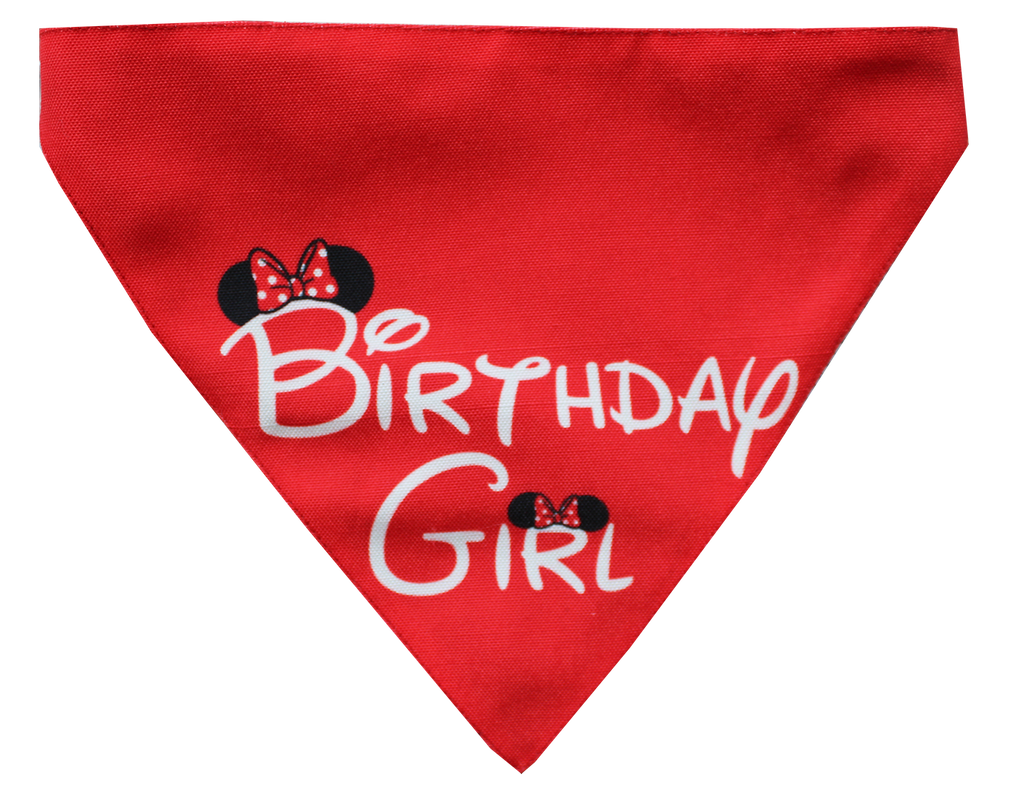 Buy Birthday Girl Dog Bandanas Online India I Lana Paws