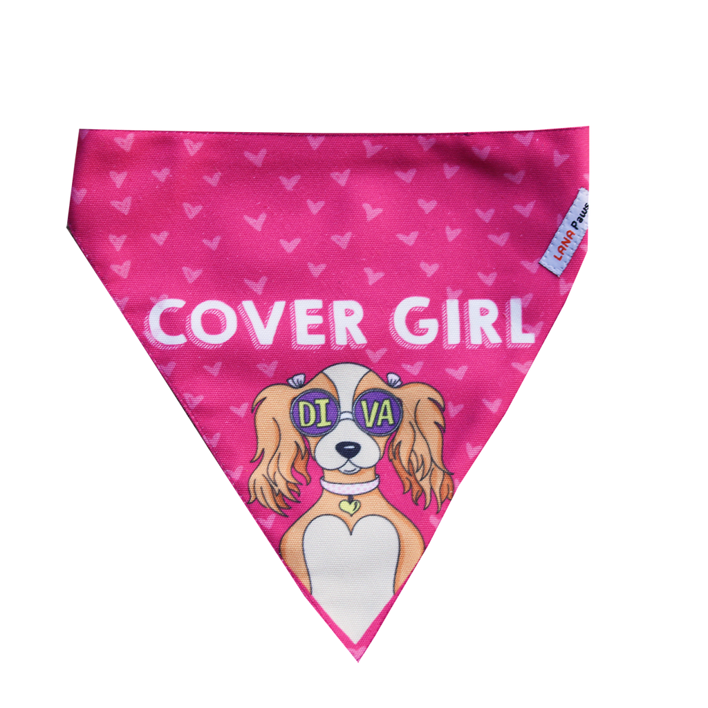 Ladies best sale dog scarf