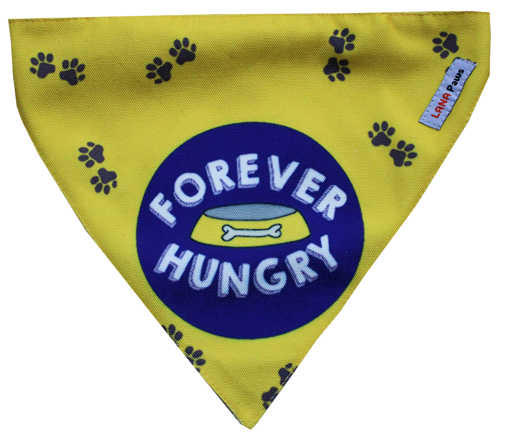 Adjustable Dog Bandana/ Dog Scarf - Forever Hungry
