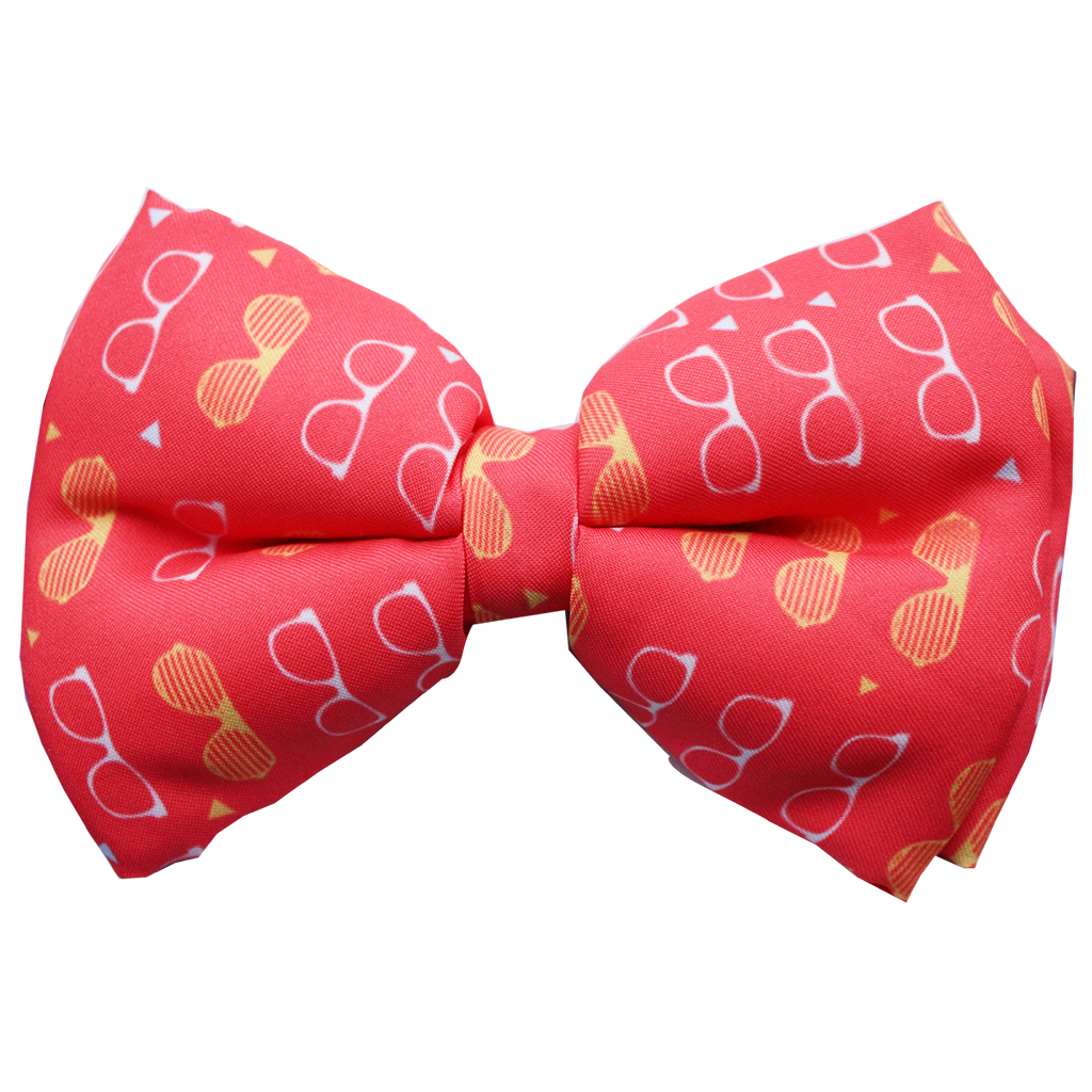 Lana Paws funky frames adjustable dog bow tie 