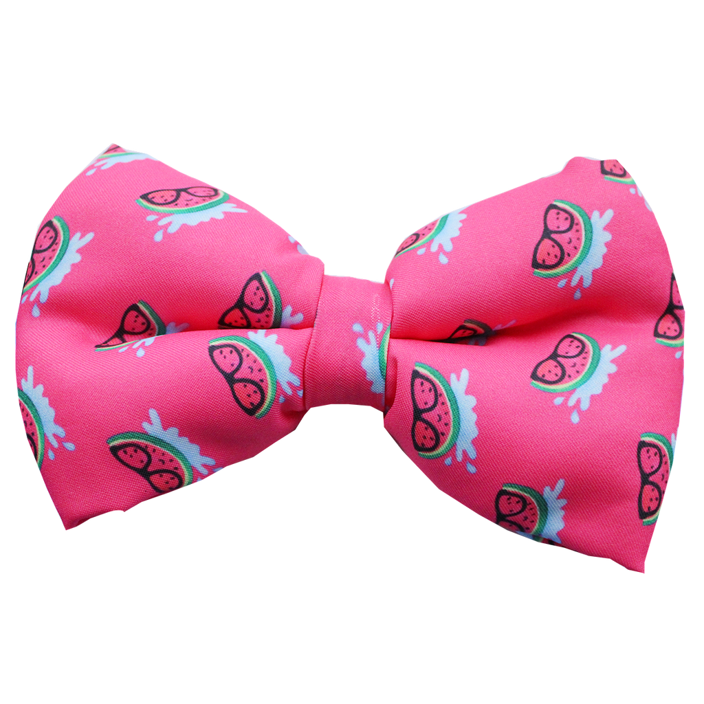 Lana Paws pink melons dog bow tie 