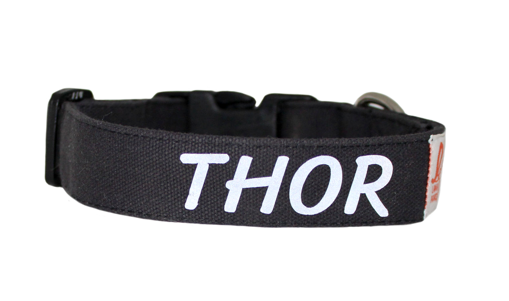 Thor sales dog collar