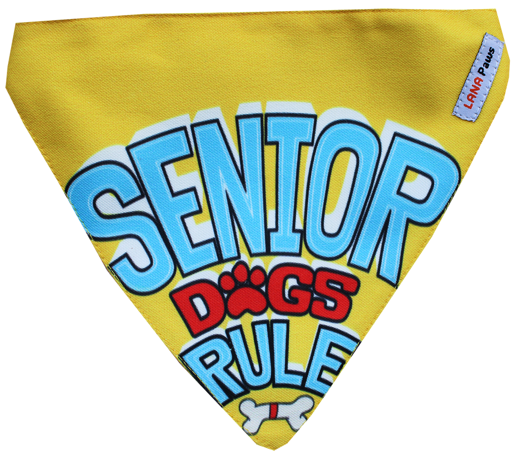 Lana Paws senior dogs rule dog bandana for senior dogs