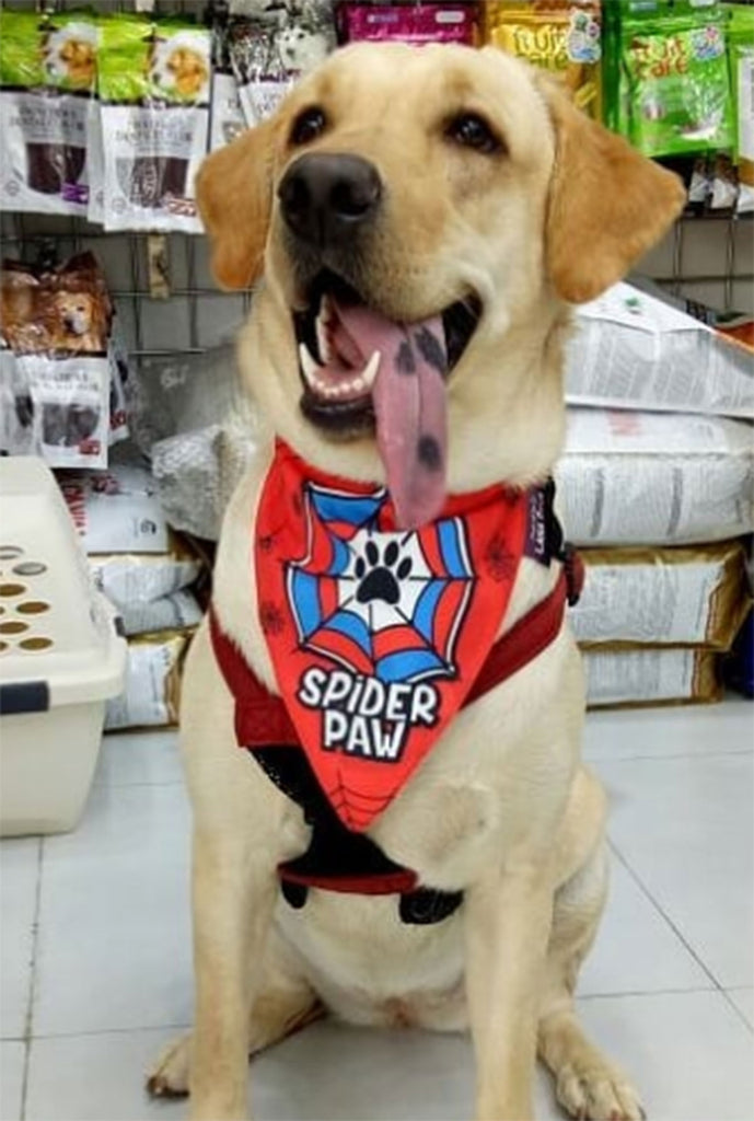 Buy Spiderman Superhero Dog Bandana Scarf Online l Lana Paws